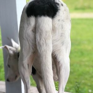 Meet your Posher, Marta